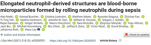 一种神秘颗粒被发现了 ！它能否成为败血症早筛标志物？